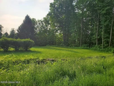 /international/us/l14-lakeview-circle-drive-lake-george-ny-110100755490/?lang=zh-tw