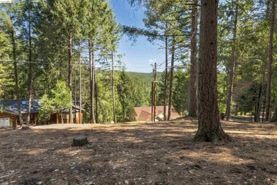 /international/us/5651-daisy-cir-pollock-pines-ca-110107441014/
