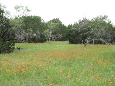 /international/us/tbd-lot-41-pr-42107-evant-tx-110084820185/
