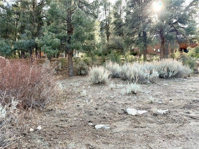 /international/us/15500-mil-potrero-hwy-pine-mountain-club-ca-110096526224/