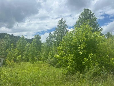 /international/us/9999-hubbs-hollow-road-rockholds-ky-110099892101/