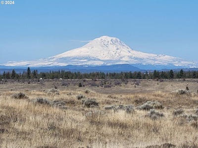 /international/us/lipo-goldendale-wa-110106599966/