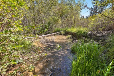 /international/us/mcclain-creek-meadows-florence-mt-110102760339/