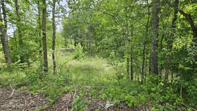 /international/us/104-sidney-baird-road-bradford-tn-110107711955/