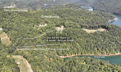 /international/us/cheri-lane-lot-54-59-caryville-tn-110106144209/