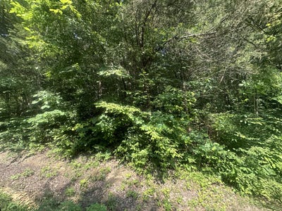 /international/us/lot-25-rock-springs-road-celina-tn-110100723366/?lang=en