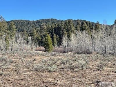 /international/us/0-camas-road-kilgore-id-110100323083/