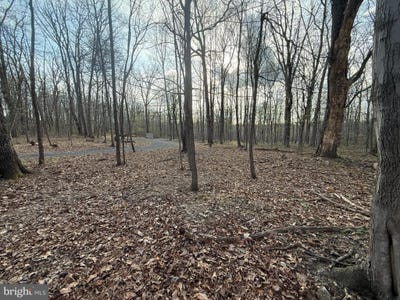 /international/us/810-w-watersville-road-mount-airy-md-110107160655/