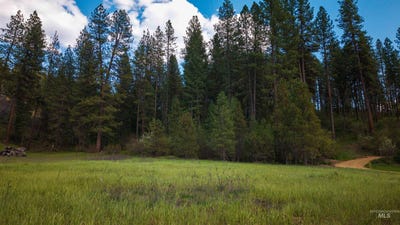 /international/us/meadow-view-rd-garden-valley-id-110106526536/
