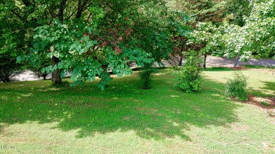 /international/us/0-laurel-street-weber-city-va-110101070423/