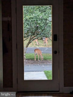 /international/us/41185-canter-lane-paeonian-springs-va-110097685320/?lang=en