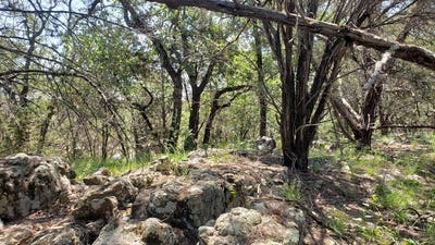 /international/us/850b-fm-2256-mineral-wells-tx-110100922518/?lang=zh-cn
