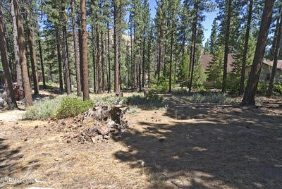 /international/us/50-pinon-road-markleeville-ca-110098179793/