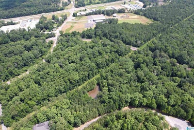 /international/us/weatherton-trail-lot-2-harpersville-al-110098061791/