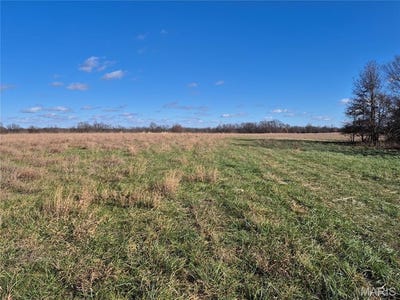 /international/us/0-county-road-197-tract-7-11-acres-williamsburg-mo-110107399463/