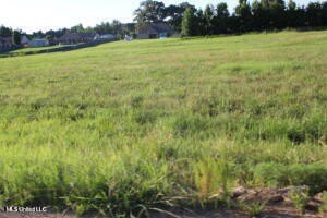 /international/us/4-chapel-hill-subdivision-lot-4-holly-springs-ms-110101939250/