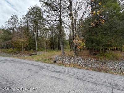 /international/us/stark-road-union-dale-pa-110102881010/