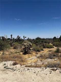 /international/us/0-no-name-phelan-ca-110108359676/