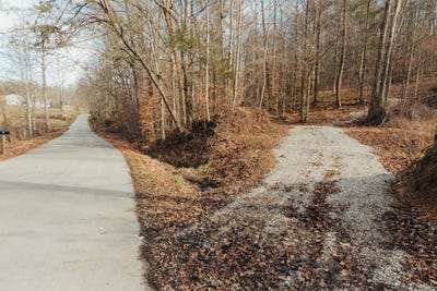 /international/us/0-tbd-whites-branch-road-wellington-ky-110105051901/