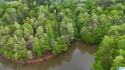 /international/us/county-road-499-woodland-al-110099024283/