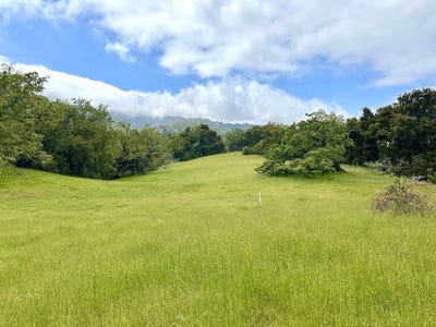 /international/us/29-arroyo-sequoia-carmel-ca-110103072902/