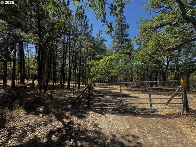 /international/us/31-oak-meadow-way-goldendale-wa-110101195526/