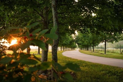 /international/us/kiehnau-road-egg-harbor-wi-110101450333/?lang=en