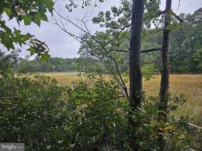 /international/us/spring-lake-dr-lot-8-section-c-lexington-park-md-110102306704/