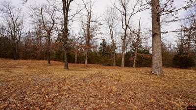 /international/us/oakridge-drive-lot-18-gepp-ar-110097851937/
