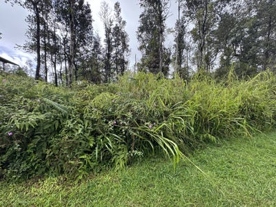 /international/us/oahu-st-pahoa-hi-110103654027/