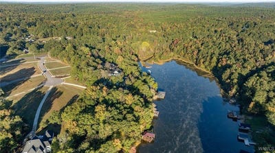/international/us/3-rising-tide-northport-al-110100044917/