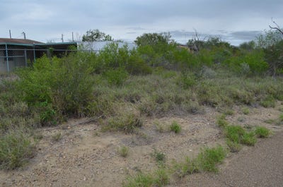 /international/us/5115-grande-lane-zapata-tx-110107441647/
