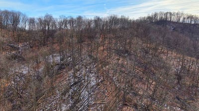 /international/us/789-moats-hollow-road-waverly-oh-110105115264/