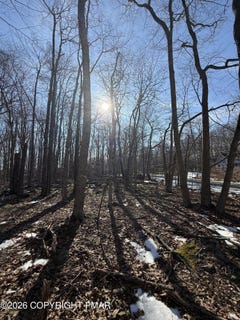 /international/us/804-selig-road-pocono-lake-pa-110104821186/