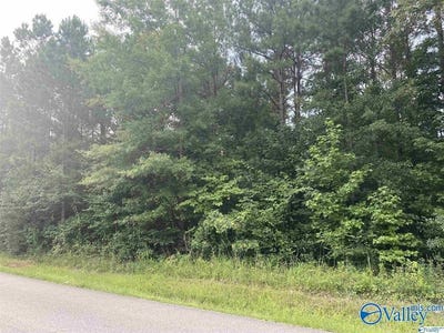 /international/us/17-27-third-street-hokes-bluff-al-110097573745/