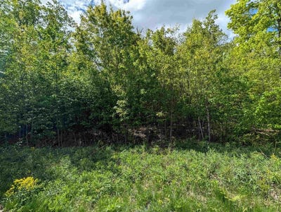 /international/us/acorn-ridge-estates-subdivision-lot-10-mosinee-wi-110106758168/
