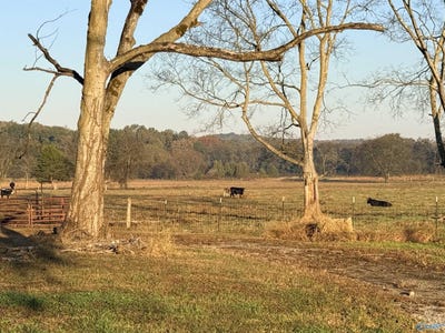/international/us/53-acres-county-road-41-w-danville-al-110104091186/