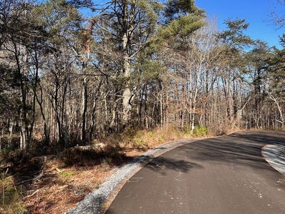 /international/us/lot-14-fairview-way-blue-ridge-ga-110105764417/