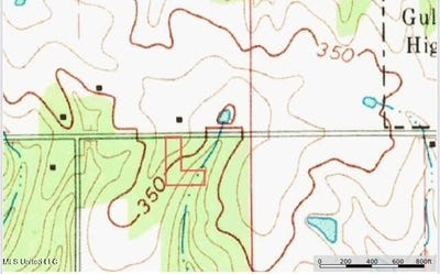 /international/us/cemetery-road-tylertown-ms-110104970428/