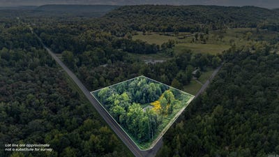 /international/us/booger-hollow-road-dover-ar-110120155555/