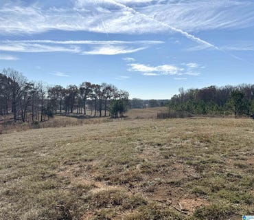 /international/us/2884-highway-47-lot-0-columbiana-al-110103795804/