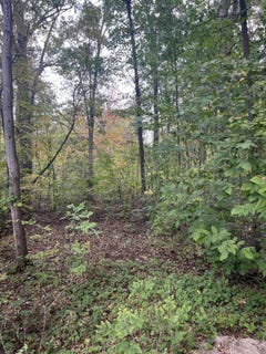 /international/us/v-l-riverdale-rd-whitmore-lake-mi-110094684276/?lang=zh-tw