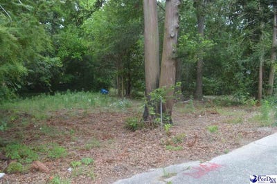 /international/us/437-marlboro-avenue-hartsville-sc-110097808809/