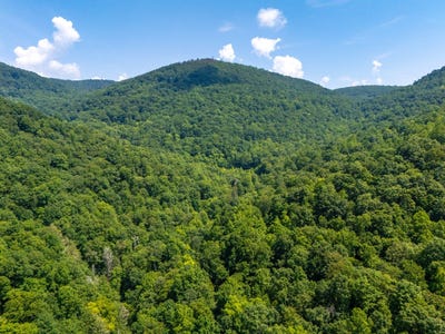 /international/us/0-mountain-road-caryville-tn-110100569595/