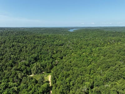 /international/us/county-road-630-gainesville-mo-110107981183/