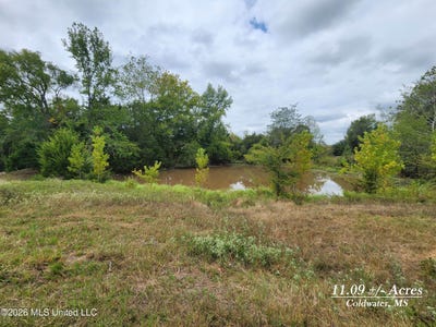 /international/us/11-09-bub-jamison-road-coldwater-ms-110110367422/