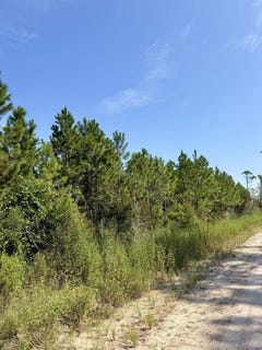 /international/us/vacant-circle-block-loop-greenville-fl-110120531112/