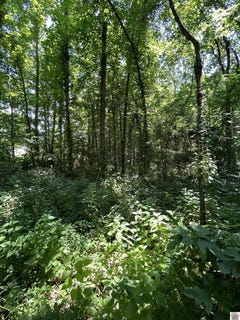 /international/us/000-maple-lane-canton-ky-110101127573/?lang=en