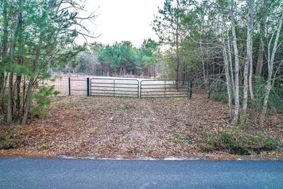/international/us/parcel-141539-barge-road-zavalla-tx-110105932385/