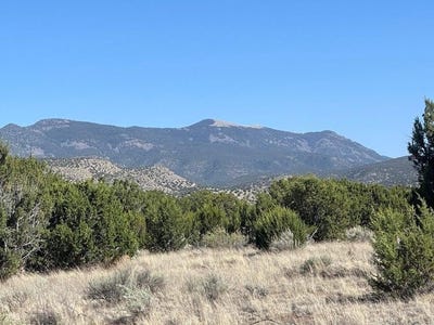 /international/us/magdalena-ranch-estates-lot-4-magdalena-nm-110100596064/